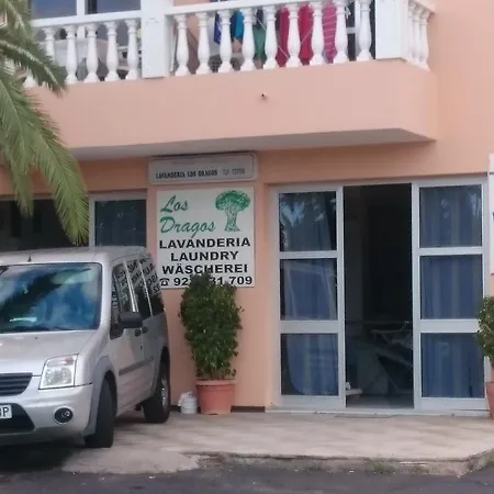 Tajinaste * طوستا ديل سيلونثيو
